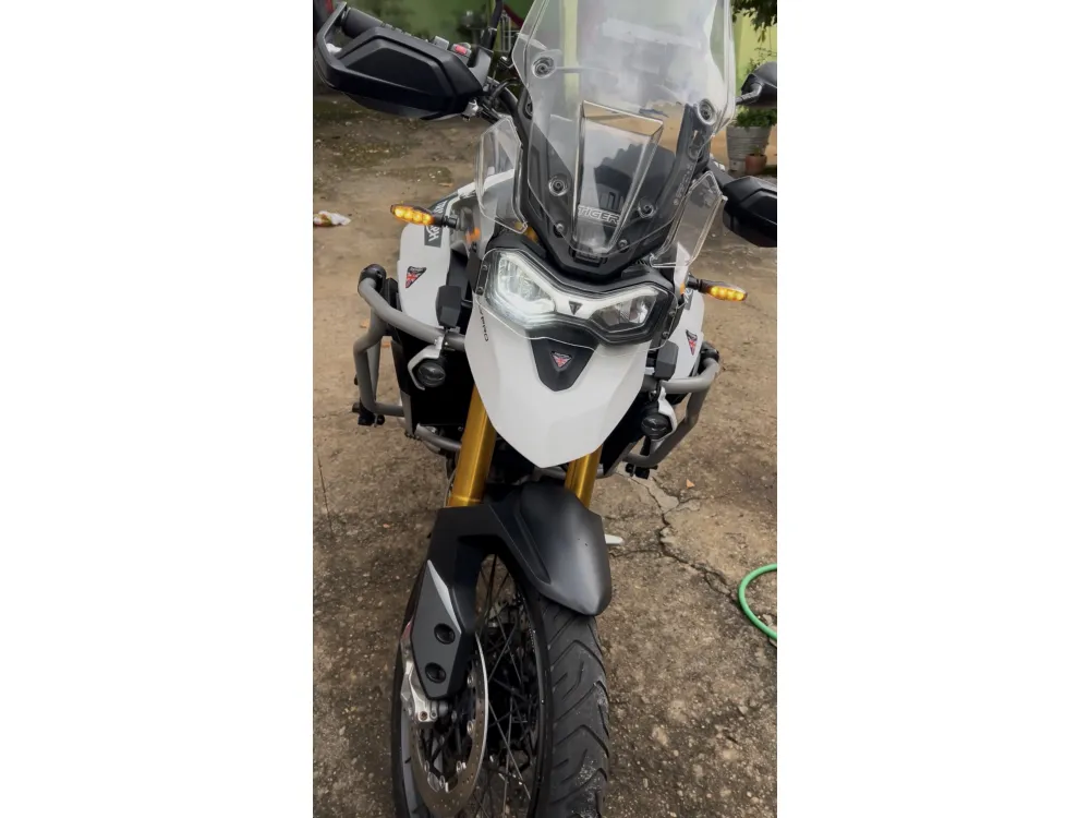 TRIUMPH TIGER