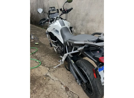 TRIUMPH TIGER