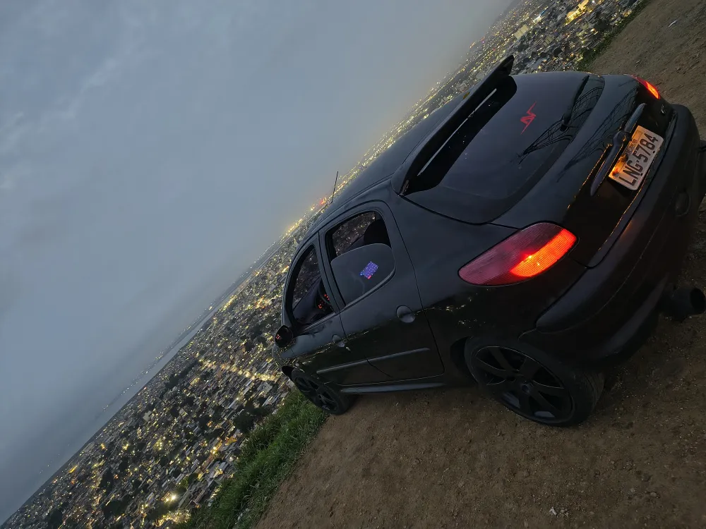 Peugeot 206