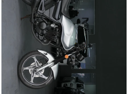 Suzuki EN