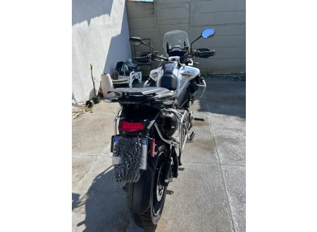 TRIUMPH TIGER